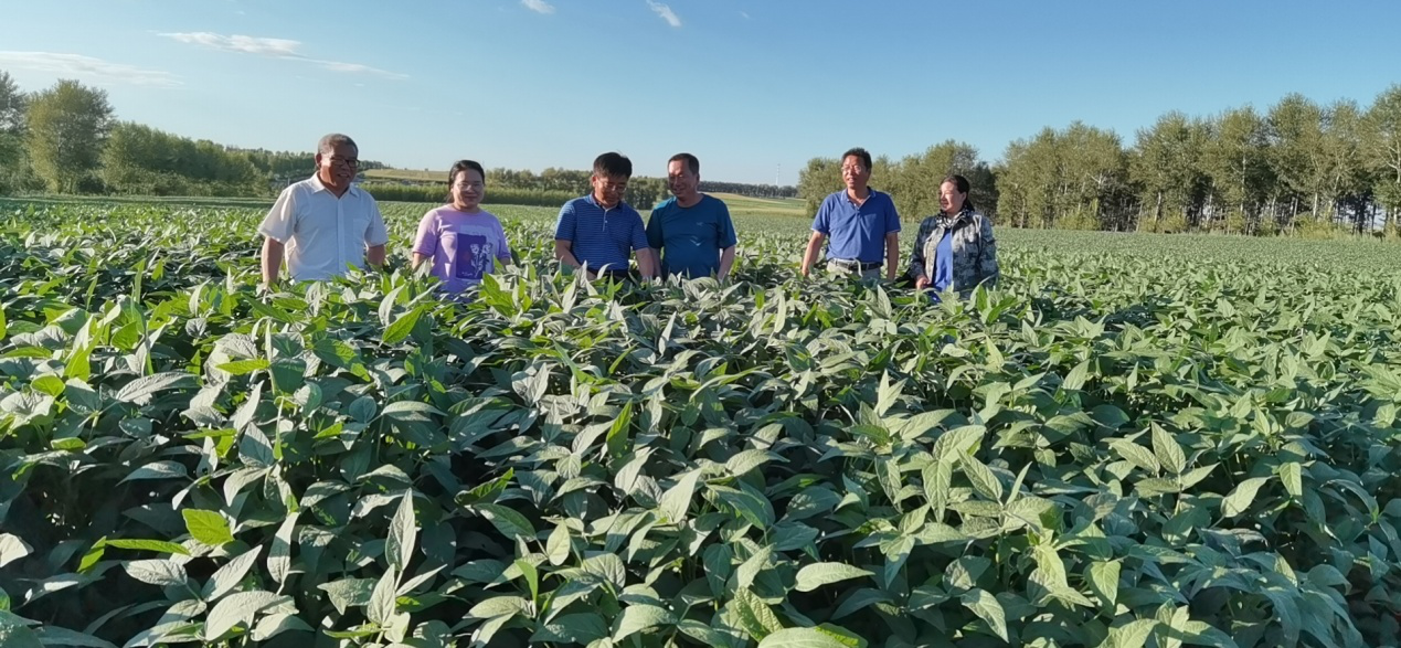 1596588845221926.png 图片1.png